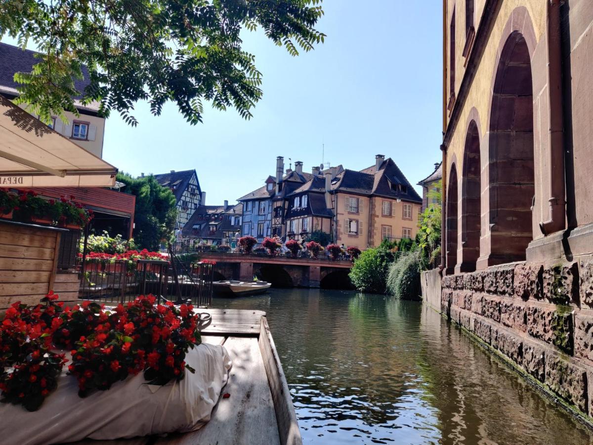 Au Kugelhopf Doré - Centre Historique Colmar Exterior foto
