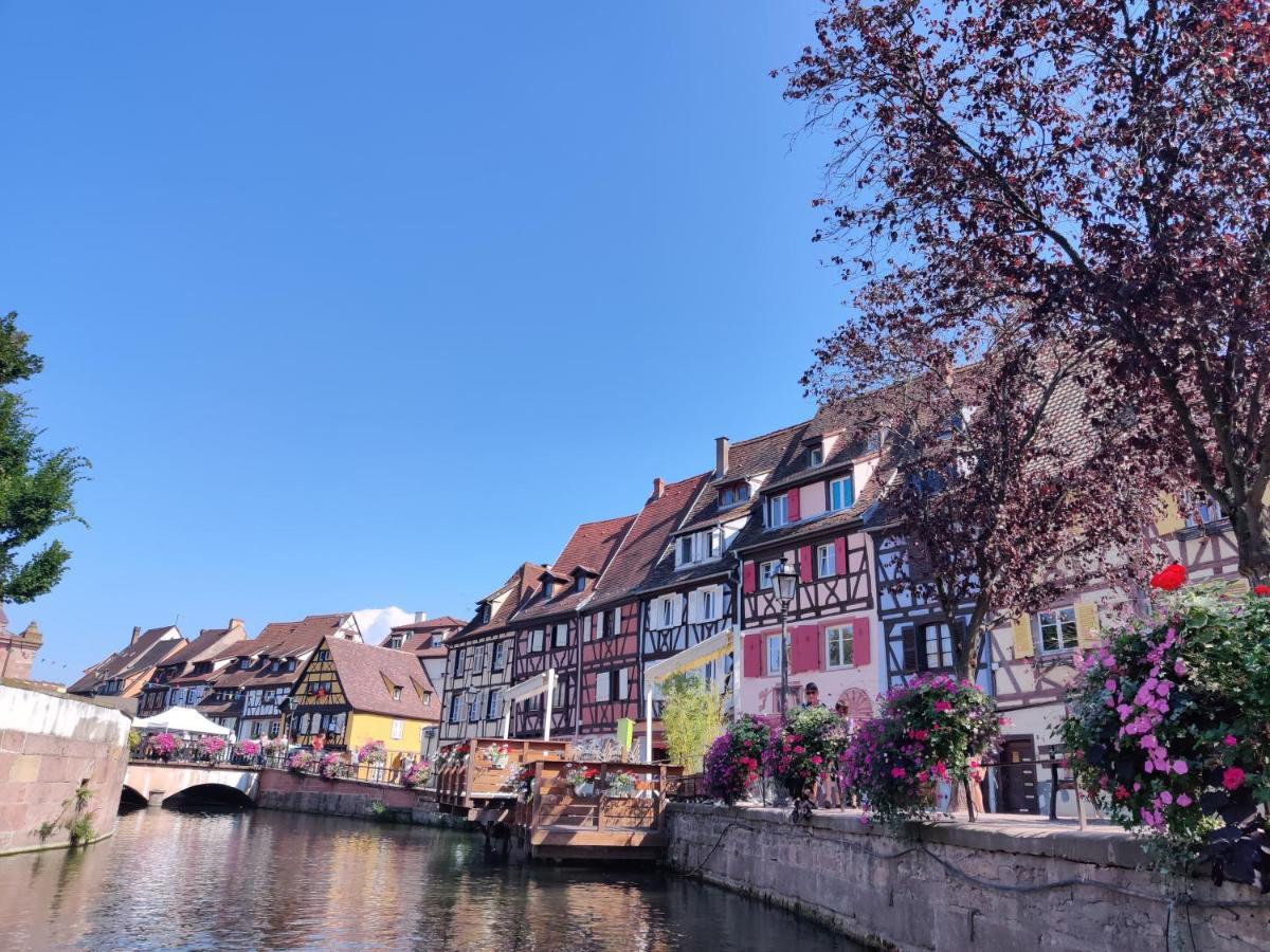 Au Kugelhopf Doré - Centre Historique Colmar Exterior foto
