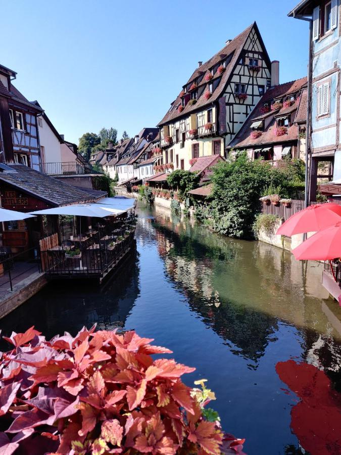 Au Kugelhopf Doré - Centre Historique Colmar Exterior foto